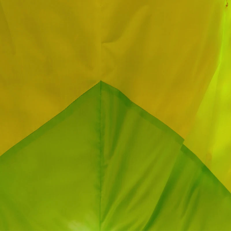 Large 3D frog soft kite, adult outdoor lawn activity game kite, easy to fly on seaside beach, large soft kite