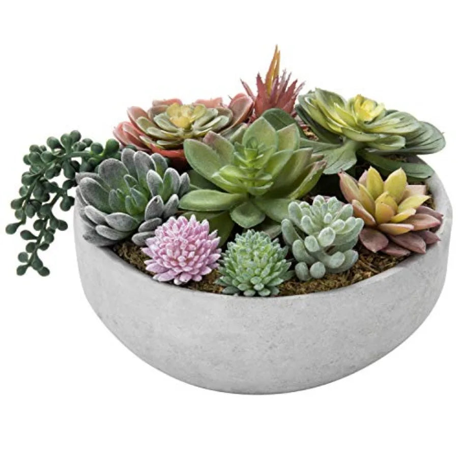 8 Inch Round Modern Artificial Succulent Arrangement Potted in Gray Concrete Plant Bowl Assorted Faux Mini Succulents in a Deco
