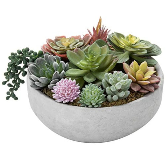 8 Inch Round Modern Artificial Succulent Arrangement Potted in Gray Concrete Plant Bowl Assorted Faux Mini Succulents in a Deco